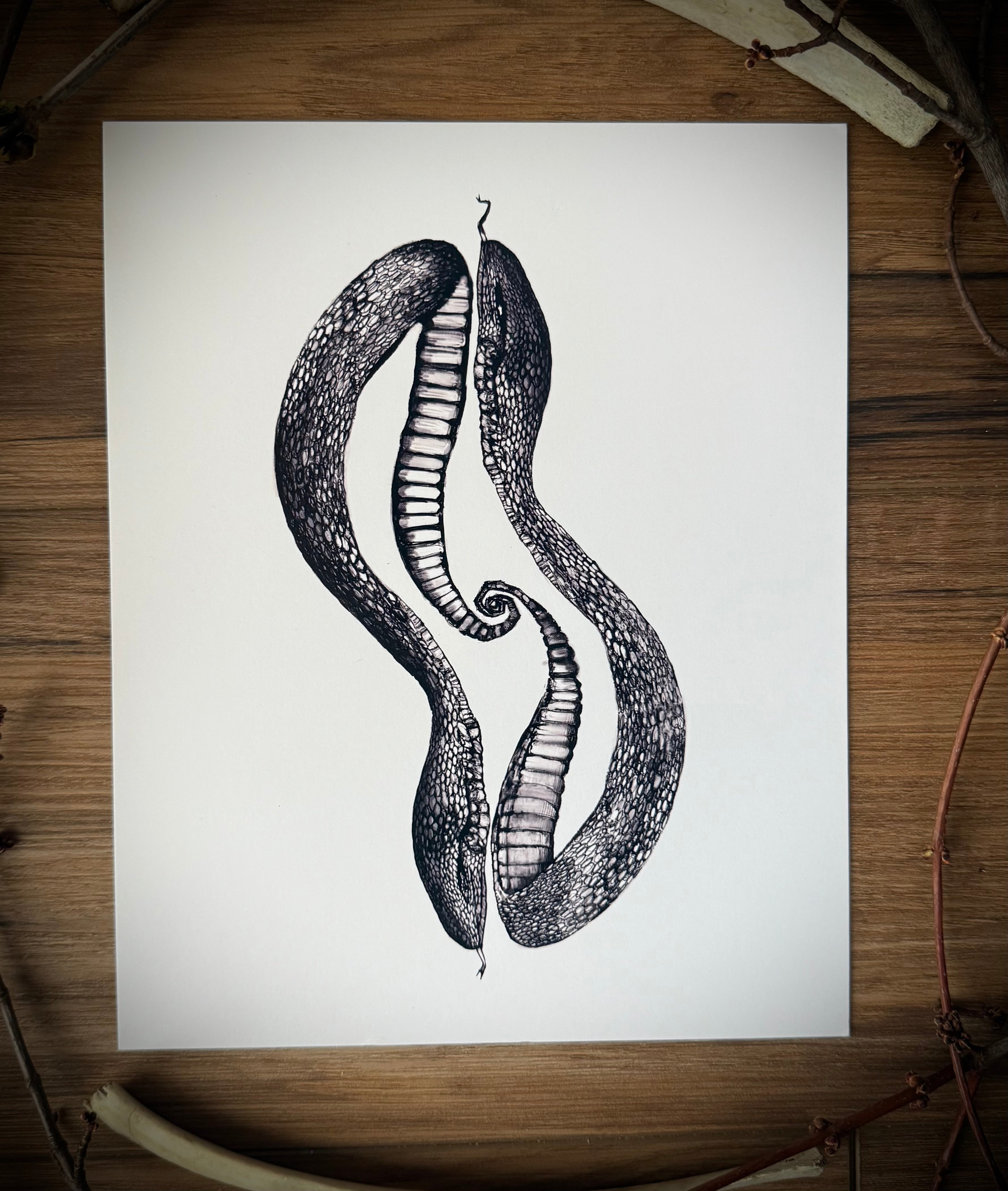 Snake Duo Art Print – Signum Somnia