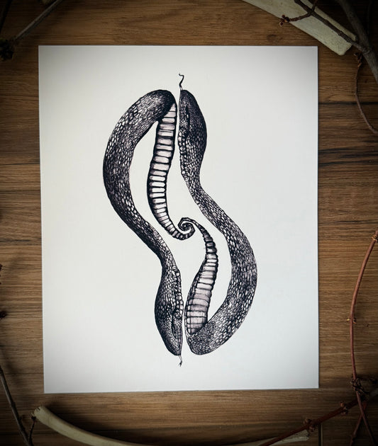 Snake Duo Art Print