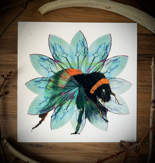 Bee in the Flower Print
