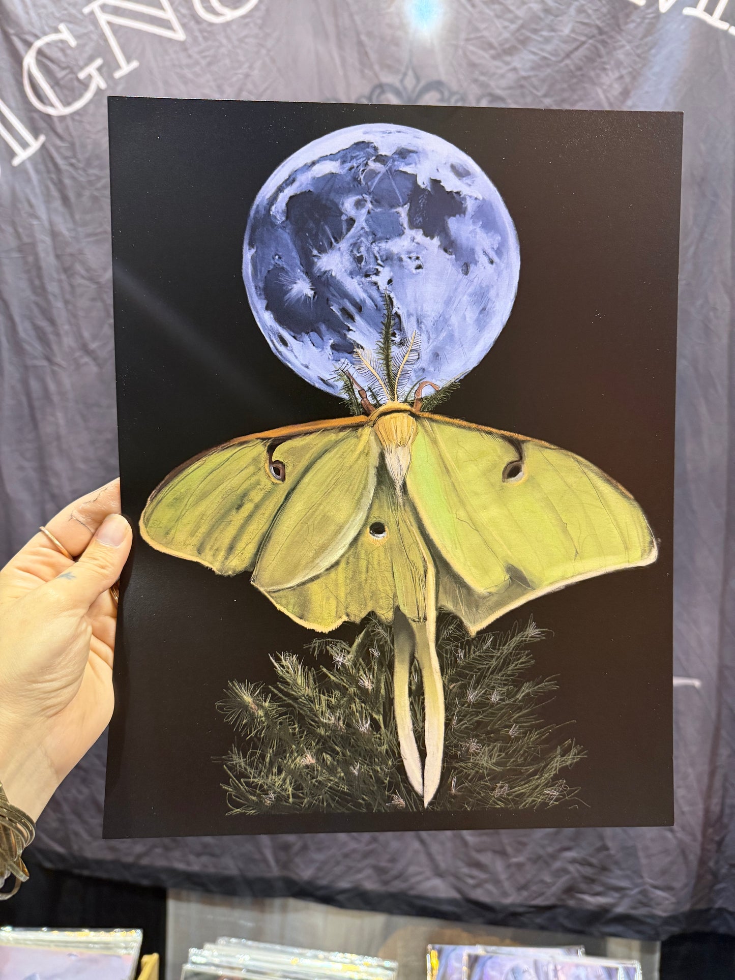 Luna Moth Art Print